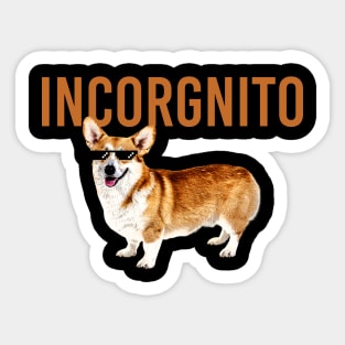 Incorgnito Sticker